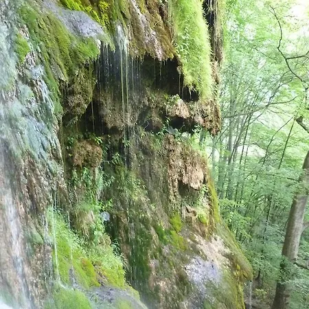 Podkovata 2* Етрополе