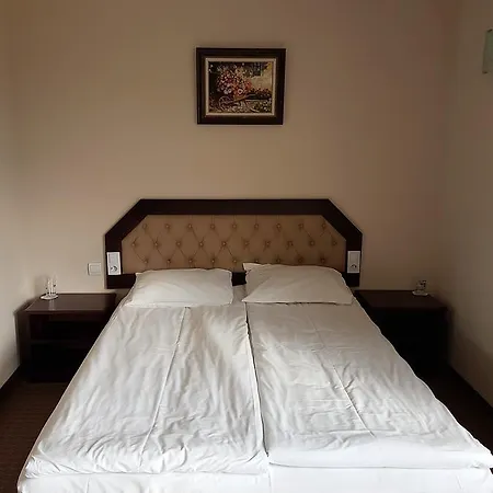Отель Podkovata 2*